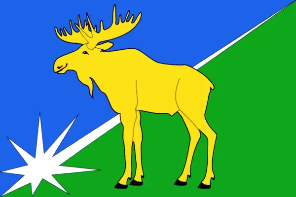 Флаг: Кыштовский район